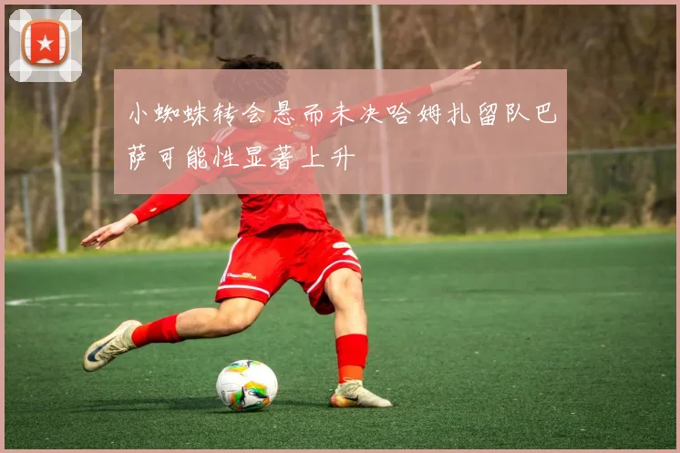 小蜘蛛转会悬而未决哈姆扎留队巴萨可能性显著上升