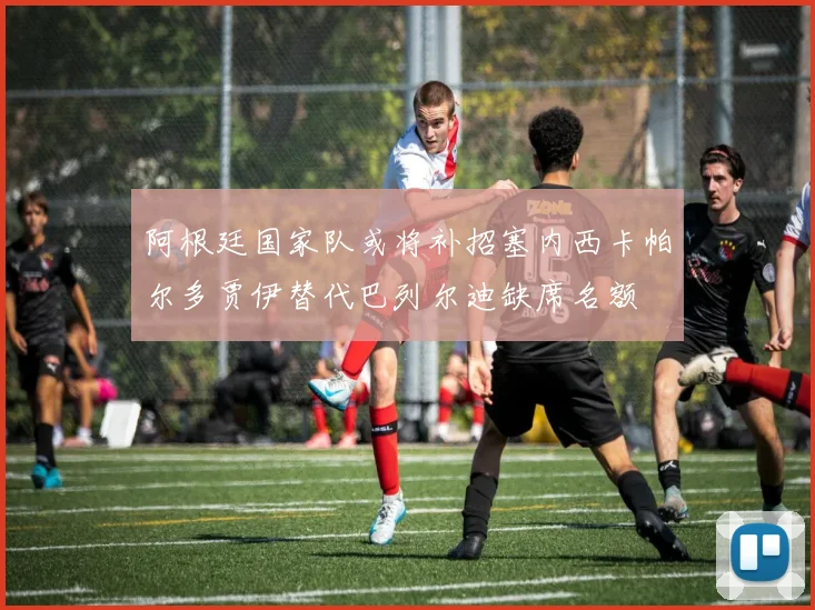 阿根廷国家队或将补招塞内西卡帕尔多贾伊替代巴列尔迪缺席名额