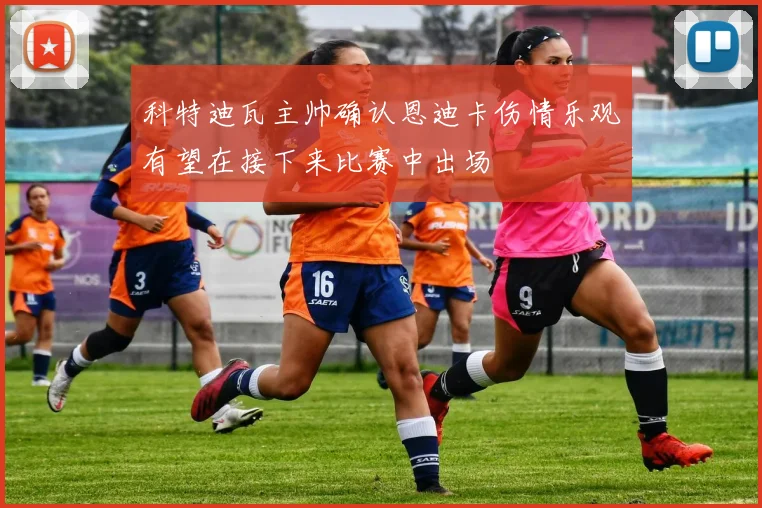 科特迪瓦主帅确认恩迪卡伤情乐观有望在接下来比赛中出场